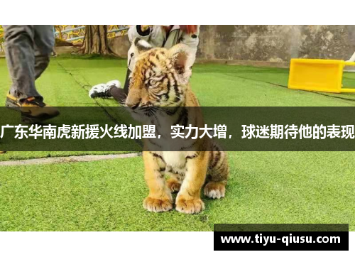 广东华南虎新援火线加盟，实力大增，球迷期待他的表现