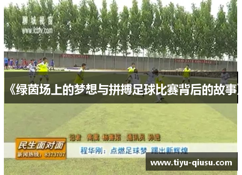 《绿茵场上的梦想与拼搏足球比赛背后的故事》